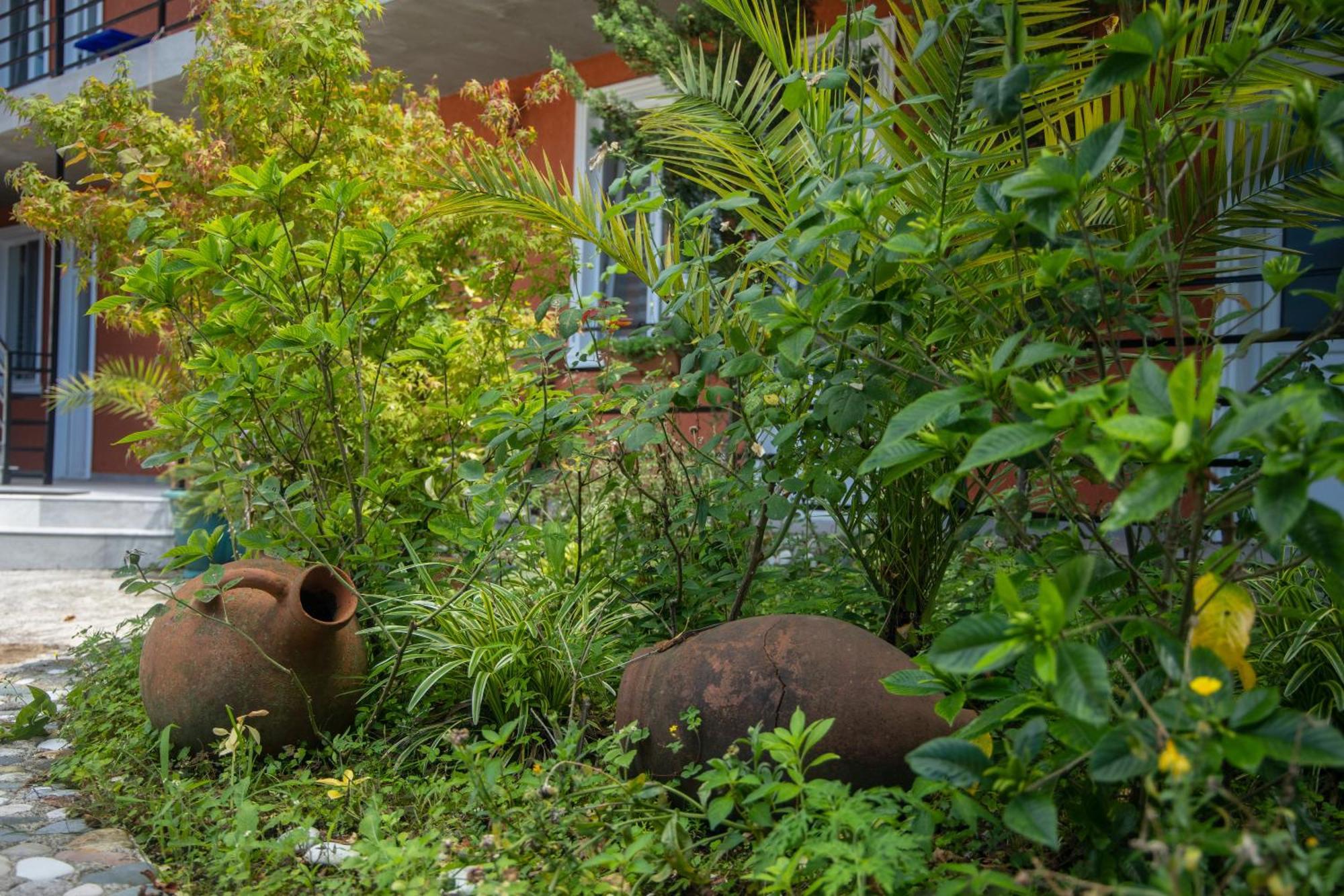 Pavillion Guest House バトゥーミ エクステリア 写真